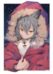 Rule 34 | 1girl, amuri, animal, animal ears, animal in clothes, arknights, border, breath, closed eyes, closed mouth, commentary, dog, fangs, fur-trimmed hood, fur trim, grey hair, holding, holding animal, hood, hood up, hooded jacket, jacket, looking down, no nose, projekt red (arknights), red jacket, sidelocks, signature, solo, tongue, tongue out, upper body, wolf ears, wolf girl, yellow eyes