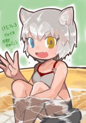 Rule 34 | 1girl, animal ears, blue eyes, buchi0122, dog (mixed breed) (kemono friends), dog ears, dog tail, fang, grey hair, heterochromia, highres, kemono friends, knees up, looking at viewer, multicolored hair, partially submerged, pool, short hair, sitting, skin fang, solo, tail, translation request, two-tone hair, waving, wet, white background, yellow eyes
