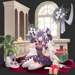 Rule 34 | alternate costume, animal band, animal ears, arm garter, azur lane, bell, box, box of chocolates, bubble1995, cake, cheshire (azur lane), chocolate, cleavage, dress, fake animal ears, flower, food, frilled dress, frilled ribbon, frills, garter straps, gift, hand up, highres, knitting, manjuu (azur lane), multicolored hair, plant, potted plant, ribbon, see-through, see-through cleavage, seiza, short hair, sitting, streaked hair, thighhighs, two-tone hair, veil, white thighhighs