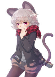 Rule 34 | 1girl, alternate costume, animal ears, arm behind back, black bow, black jacket, blush, bow, box, brown pantyhose, brown shorts, cowboy shot, fringe trim, gift, gift box, grey hair, iris anemone, jacket, light particles, light smile, long sleeves, looking at viewer, mouse ears, mouse tail, nazrin, open clothes, open jacket, pantyhose, parted lips, pink eyes, plaid, plaid scarf, pocket, puffy shorts, red scarf, scarf, short hair, shorts, simple background, solo, standing, tail, touhou, valentine, white background