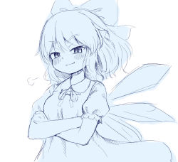 Rule 34 | 1girl, arinu, cirno, ice, ice wings, neck ribbon, puffy short sleeves, puffy sleeves, ribbon, short hair, short sleeves, simple background, smug, solo, touhou, white background, wings