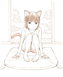 Rule 34 | 1girl, animal ears, barefoot, cat ears, cat tail, monochrome, original, shorts, sketch, solo, tail, toes, traditional media, yoshitomi akihito