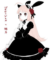 Rule 34 | 1girl, black dress, dress, egawa satsuki, gothic lolita, hoihoi-san, ichigeki sacchuu!! hoihoi-san, lolita fashion, long hair, pink eyes, pink hair, solo