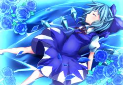 Rule 34 | 1girl, bad id, bad pixiv id, blue dress, blue flower, blue hair, blue rose, bow, chako (chakoxxx), cirno, dress, closed eyes, flower, hair bow, ice, ice wings, petals, puffy short sleeves, puffy sleeves, rose, short hair, short sleeves, sleeping, solo, touhou, wings