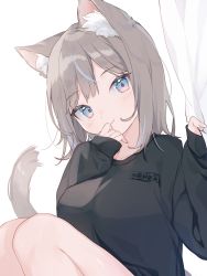 Rule 34 | 1girl, absurdres, animal ear fluff, animal ears, black shirt, blue eyes, brown hair, cat ears, cat girl, cat tail, commentary, grabbing, hand to own mouth, head tilt, highres, knees up, light blush, long sleeves, looking at viewer, medium hair, mokyuko, original, shirt, simple background, smile, solo, symbol-only commentary, tail, upper body, white background