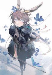 Rule 34 | 1girl, amiya (arknights), animal ears, arknights, black dress, black pantyhose, blue eyes, bow (music), brown hair, dress, from above, full body, highres, holding, holding bow (music), holding instrument, holding violin, instrument, jewelry, long hair, looking at viewer, multiple rings, pantyhose, parted lips, rabbit ears, rabbit girl, ring, satonishi, short sleeves, violin, white background