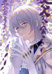 Rule 34 | 1boy, ascot, blue shirt, cael anselm, closed mouth, cowlick, falling petals, flower, frilled shirt collar, frills, hair between eyes, highres, jacket, light smile, long bangs, long hair, looking at viewer, lovebrush chronicles, male focus, own hands together, petals, purple eyes, purple flower, shirt, solo, steinskinoko, upper body, white ascot, white background, white hair, white jacket, wisteria