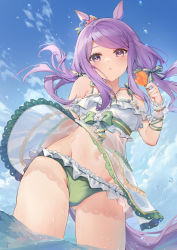 Rule 34 | 1girl, :o, arm garter, artist name, bare shoulders, bikini, bikini under clothes, blush, carrying, carrying person, cloud, dress, food, from below, green bikini, groin, hand up, highres, holding, holding food, jewelry, kita (kitairoha), long hair, looking at viewer, low twintails, mejiro mcqueen (ripple fairlady) (umamusume), mejiro mcqueen (umamusume), navel, necklace, official alternate costume, outdoors, purple eyes, purple hair, revision, see-through, see-through dress, sleeveless, sleeveless dress, solo, standing, swimsuit, twintails, umamusume, wading, water, water drop, wet, white dress