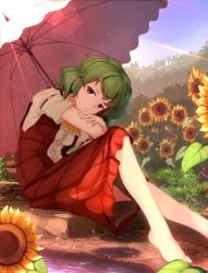 Rule 34 | 1girl, absurdres, after rain, arm strap, ascot, bad proportions, barefoot, blue sky, cloud, day, expressionless, flower, grass, green hair, head tilt, highres, kazami yuuka, knee up, legs, lens flare, light particles, light trail, long legs, looking at viewer, on ground, open clothes, open vest, plaid, plaid skirt, plaid vest, plant, puddle, red eyes, red skirt, red vest, shirt, short hair, short sleeves, sitting, sitting on stairs, skirt, skirt set, sky, solo, sparkle, stairs, stone walkway, summer, sunflower, sunlight, toes, touhou, tree, vest, vines, wanjie sa hua, water, water drop, white shirt