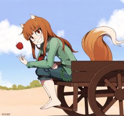 1girl animal_ears artist_name bad_id bad_twitter_id barefoot blush brown_eyes brown_hair capri_pants day female_focus fox_ears fox_tail highres holo long_hair looking_at_viewer once_11h outdoors pants parted_lips sitting smile solo spice_and_wolf tail teeth watermark wolf_ears wolf_tail