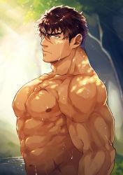 Rule 34 | 1boy, abs, bara, borrowed character, brown hair, dark skin, dark-skinned male, expressionless, flee ad, forest, highres, large pectorals, looking at viewer, male focus, mature male, muscular, muscular male, nature, navel, nipples, original, pectorals, pond, scar, scar on chest, scar on face, scar on nose, short hair, sideburns, solo, stomach, sunlight, upper body, wet, yellow eyes