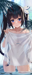 Rule 34 | 1girl, ayul (ayulneri 92), bare shoulders, black hair, blue eyes, blue ribbon, blush, breasts, closed mouth, collarbone, commentary request, covered navel, dungeon ni deai wo motomeru no wa machigatteiru darou ka, hair ribbon, hestia (danmachi), highres, large breasts, leaf, long hair, looking at viewer, navel, nude, ribbon, see-through, smile, solo, towel, tree, twintails, very long hair, wading, water, wet