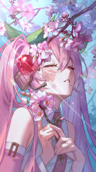 Rule 34 | 1girl, absurdres, cherry blossoms, cherry hair ornament, closed eyes, detached sleeves, food-themed hair ornament, hair between eyes, hair ornament, hatsune miku, headset, highres, jyuma, necktie, pink hair, pink necktie, pink sleeves, sakura miku, solo, twintails, upper body, vocaloid