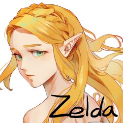 Rule 34 | 1girl, blonde hair, braid, character name, closed mouth, crown braid, green eyes, highres, long hair, looking at viewer, looking to the side, nintendo, pointy ears, portrait, princess zelda, psp26958748, shiny skin, simple background, solo, the legend of zelda, the legend of zelda: breath of the wild, white background