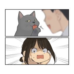 Rule 34 | 1boy, 1girl, animal, blush, brown eyes, brown hair, cat, commentary request, douki-chan (douki-chan), douki-kun (douki-chan), ganbare douki-chan, highres, open mouth, short hair, simple background, upper body, white background, yomu (sgt epper)