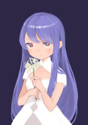 Rule 34 | 1girl, blush, breasts, closed mouth, flower, hands up, highres, holding, holding flower, karamomo, long hair, looking at viewer, original, purple background, purple hair, red eyes, shirt, short sleeves, sidelocks, simple background, small breasts, smile, solo, upper body, very long hair, white flower, white shirt