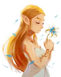 Rule 34 | 1girl, bare shoulders, blonde hair, blue flower, bracelet, closed mouth, dress, earrings, elf, closed eyes, flower, from side, hair ornament, hands up, holding, holding flower, jewelry, long hair, luisa rafidi, neck, necklace, nintendo, petals, pointy ears, princess zelda, silent princess, solo, straight hair, strapless, strapless dress, the legend of zelda, the legend of zelda: breath of the wild, white background, white dress