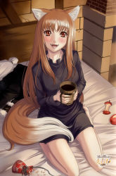 Rule 34 | 1girl, absurdres, animal ears, apple, barefoot, bed, blush, brown hair, cup, eiwa, fang, fangs, food, from above, fruit, highres, holo, long hair, looking up, mug, pouch, red eyes, sitting, smile, solo, spice and wolf, tail, wolf ears, wolf tail