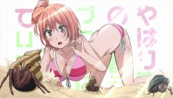 Rule 34 | 10s, 1girl, all fours, bikini, breasts, cleavage, copyright name, front-tie top, hermit crab, highres, large breasts, non-web source, open mouth, pink eyes, pink hair, sand, screencap, short hair, side-tie bikini bottom, solo, striped bikini, striped clothes, swimsuit, text background, top-down bottom-up, wet, yahari ore no seishun lovecome wa machigatteiru., yuigahama yui