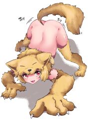 Rule 34 | 1girl, absurdres, all fours, animal feet, animal hands, back, blonde hair, blush, bottomless, commentary request, commission, fox girl, fox hat, fox tail, full body, highres, looking at viewer, medium hair, moonlight flower, open mouth, orange eyes, ragnarok online, second-party source, shiny skin, simple background, skeb commission, smile, solo, tail, tail wagging, tamentai, white background