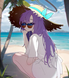 Rule 34 | 1girl, absurdres, alicelovefv, beach, black halo, blue archive, cloud, cloudy sky, glasses, halo, hat, highres, looking at viewer, mechanical halo, ocean, palm tree, purple eyes, purple hair, robe, shirt, sky, solo, squatting, sun hat, sunglasses, tree, white robe, white shirt, yuuka (blue archive)