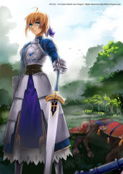 Rule 34 | 1girl, ahoge, armor, armored dress, artoria pendragon (fate), blonde hair, blue eyes, breastplate, cape, dress, excalibur (fate/stay night), fate/stay night, fate (series), faulds, fs-project, gauntlets, hair ribbon, hand on hilt, highres, horse, planted sword, planted, ribbon, saber (fate), solo, sword, weapon