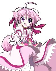 Rule 34 | 10s, 1girl, ahoge, animal ears, breasts, dog days, dog ears, dog girl, dog tail, dress, female focus, gloves, highres, millhiore f. biscotti, outstretched hand, pink hair, purple eyes, short hair, simple background, smile, solo, tail, white background, yukito (hu-y1210)