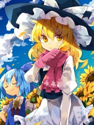 Rule 34 | 2girls, :|, apron, black headwear, black vest, blue bow, blue dress, blue hair, bow, cirno, closed eyes, closed mouth, cloud, collared shirt, commentary request, cowboy shot, day, dress, field, flower, flower field, frilled hat, frills, gardening, gloves, hands on own hips, hat, hat bow, highres, juliet sleeves, kirisame marisa, long hair, long sleeves, looking at viewer, multiple girls, neck ribbon, nikorashi-ka, petals, pink gloves, pink scarf, plant, puffy sleeves, red ribbon, ribbon, rubber gloves, scarf, shirt, short hair, smile, smug, sunflower, sunflower field, sweatdrop, touhou, v-shaped eyebrows, vest, waist apron, white apron, white bow, white shirt, wiping sweat, witch hat, yellow eyes