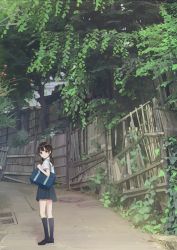 Rule 34 | 1girl, ashiya hiro, black footwear, black socks, blue skirt, blush, brown eyes, brown hair, closed mouth, collared shirt, commentary request, day, highres, kneehighs, loafers, long hair, looking at viewer, looking back, low twintails, manhole, manhole cover, original, outdoors, pleated skirt, school uniform, shirt, shoes, short sleeves, skirt, smile, socks, solo, standing, tree, twintails, white shirt