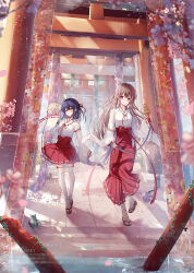 Rule 34 | 2girls, architecture, blue hair, blush, braid, breasts, brown eyes, brown hair, cherry blossoms, east asian architecture, full body, hair between eyes, hair ribbon, hakama, highres, japanese clothes, large breasts, long hair, long sleeves, looking at viewer, maeda shiori, miko, multiple girls, multiple torii, nanami yuuno, outdoors, red eyes, red hakama, red ribbon, ribbon, side braid, smile, sousouman, thighhighs, tongue, tongue out, torii, twinbox school, very long hair, white thighhighs, wide sleeves