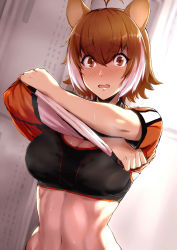 Rule 34 | 1girl, animal ears, antenna hair, backlighting, blazblue, blouse, blush, breasts, brown eyes, brown hair, cleavage, clothes lift, commentary request, embarrassed, highres, indoors, large breasts, lifting own clothes, looking at viewer, makoto nanaya, midriff, multicolored hair, navel, nose blush, orange shirt, parted lips, purinnssu, shirt, shirt lift, solo, sports bra, squirrel ears, stomach, sweat, two-tone hair, undressing, upper body, white hair