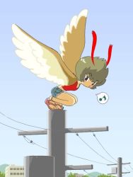 Rule 34 | 1girl, antennae, gradient background, harpy, kabiinyo (kab), midriff, monster girl, musical note, o3o, original, perching, power lines, quaver, sandals, short hair, short shorts, shorts, solo, speech bubble, spoken musical note, whistling, winged arms, wings