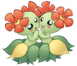 Rule 34 | bellossom, blush stickers, cheek-to-cheek, colored skin, creatures (company), dual persona, flower, game freak, gen 2 pokemon, green skin, heads together, holding hands, leaf, leaf skirt, looking at viewer, monster girl, nark, nintendo, no humans, open mouth, pokemon, pokemon (creature), simple background, smile, white background
