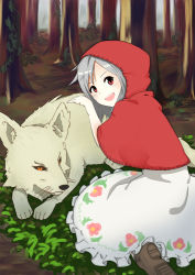 Rule 34 | 1girl, :d, big bad wolf, black sclera, blush, boots, brown footwear, capelet, colored sclera, forest, grey hair, hood, hood up, hooded capelet, kneeling, little red riding hood, little red riding hood (grimm), looking at viewer, looking back, nature, nezuko, open mouth, red capelet, red eyes, red hood, round teeth, short hair, skirt, smile, teeth, tree, white skirt, wolf