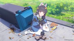 1girl absurdres ammunition ammunition_box animal_ear_headband animal_ears armband binoculars bird black_hair blue_archive blush bottle fake_animal_ears flower full_body gloves green_neckerchief halo highres leaf leaf_on_head long_hair long_sleeves looking_at_viewer miyu_(blue_archive) neckerchief official_art official_wallpaper open_mouth pantyhose park rabbit_ears red_eyes sailor_collar school_uniform shoes sitting skirt squirrel straight_hair trash_can water_bottle white_footwear white_pantyhose