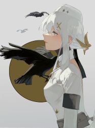 Rule 34 | 1girl, animal, animal on shoulder, backless jacket, bird, bird on shoulder, black bird, breasts, closed mouth, collared jacket, crow, from side, garrison cap, grey hair, hair ornament, hat, highres, jacket, liv: empyrea (punishing: gray raven), liv (punishing: gray raven), long sleeves, mayotta7, military hat, military jacket, military uniform, punishing: gray raven, short hair with long locks, small breasts, solo, uniform, upper body, white hair, white hat, white jacket, x hair ornament