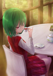 Rule 34 | 1girl, ascot, borushichi, chair, collared shirt, colored eyelashes, cup, forest, grass, green hair, half-closed eyes, highres, kazami yuuka, light rays, long sleeves, looking at viewer, looking back, nature, outdoors, pinky out, plaid, plaid skirt, plaid vest, red eyes, saucer, shirt, short hair, skirt, smile, smug, solo, sunlight, table, tea, teacup, teapot, teaspoon, touhou, tree