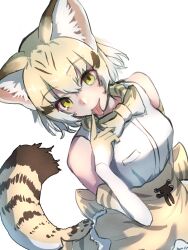 Rule 34 | 1girl, :p, animal ear fluff, animal ears, animal print, arm behind back, back bow, bare shoulders, blonde hair, bow, bowtie, breast pocket, brown hair, cat ears, cat girl, cat print, cat tail, colored inner hair, dutch angle, elbow gloves, finger to mouth, gloves, grey hair, hair between eyes, hand up, high-waist skirt, highres, kemono friends, looking at viewer, medium hair, multicolored hair, parted bangs, pocket, print bow, print gloves, print skirt, sand cat (kemono friends), sasa fune, shirt, simple background, skirt, sleeveless, sleeveless shirt, smile, solo, tail, tongue, tongue out, white background, white shirt, yellow eyes