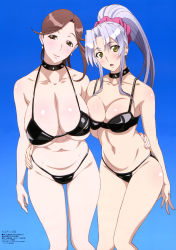 Rule 34 | 2girls, absurdres, asymmetrical docking, belly, bikini, black bikini, blue background, blush, breast press, breasts, brown eyes, brown hair, cleavage, collar, collarbone, earrings, female focus, gradient background, hand on another&#039;s hip, highres, huge breasts, jewelry, kiba mikoto, large breasts, long hair, looking at viewer, megami magazine, multiple girls, navel, official art, open mouth, ponytail, sagiri yuuko, silver hair, simple background, smile, spiked collar, spikes, swimsuit, takami akio, triage x, yellow eyes