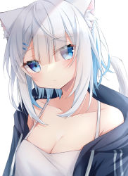 Rule 34 | 1girl, animal ears, bare shoulders, black jacket, blue eyes, blue hair, blush, breasts, camisole, cat ears, cat girl, cat tail, cleavage, closed mouth, collarbone, colored inner hair, commentary, eyes visible through hair, hair ornament, hair over one eye, hairclip, head tilt, highres, hood, hood down, hooded jacket, jacket, medium breasts, multicolored hair, off shoulder, open clothes, open jacket, original, ringouulu, short hair, simple background, solo, symbol-only commentary, tail, tail raised, twitter username, two-tone hair, upper body, watermark, white background, white camisole, white hair