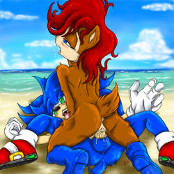Rule 34 | 1boy, 1girl, archie comics, beach, furry, gloves, hetero, highres, no humans, nude, penis, pussy, sally acorn, sex, shoes, sonic the hedgehog, sonic (series), tagme, tail