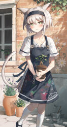 Rule 34 | 1girl, absurdres, animal ears, apron, bandaid, bandaid on hand, black apron, black hairband, bonsai, brick wall, cat ears, cat girl, cat tail, cuffs, dress, earrings, green eyes, hairband, highres, holding, holding plant, jewelry, looking at viewer, original, outdoors, paint can, plant, potted plant, ram-a, shackles, short hair, socks, stitches, tail, white dress, white hair, white socks, window