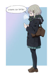 Rule 34 | 10s, 1girl, black coat, black pantyhose, blue background, blush, brown footwear, cellphone, coat, commentary request, full body, green eyes, green scarf, green skirt, grey hair, hair ornament, hairclip, hasisisissy, highres, holding, holding phone, hood, hood down, hooded coat, loafers, looking away, looking down, pantyhose, phone, plaid, plaid scarf, pleated skirt, profile, scarf, shoes, skirt, solo, standing, translation request, two-tone background, white background, yama no susume, yukimura aoi