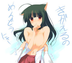 Rule 34 | 1girl, ahoge, animal ears, assisted exposure, bell, black hair, breasts squeezed together, breasts, brown eyes, choker, clothes pull, collar, dress shirt, finger to mouth, fox ears, hakama, hakama skirt, japanese clothes, jingle bell, large breasts, long hair, miko, navel, neck bell, nipples, red hakama, shirt, shirt pull, skirt, solo, topless, yaegashi nan