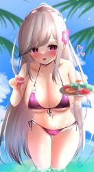 Rule 34 | 1girl, absurdres, azur lane, balut (7676i), bikini, blue gemstone, braid, breasts, butterfly hair ornament, cleavage, crown braid, doughnut, dunkerque (azur lane), dunkerque (summer sucre) (azur lane), flower, food, front-tie top, gem, grey hair, hair flower, hair ornament, heart, highres, holding, holding tray, large breasts, long hair, macaron, official alternate costume, outdoors, palm leaf, purple bikini, purple eyes, side-tie bottom, solo, swimsuit, thigh gap, tray, very long hair