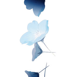 Rule 34 | blue flower, blue theme, falling, flower, highres, limited palette, nemophila (flower), no humans, original, pale color, shion 08, simple background, still life, vignetting, white background