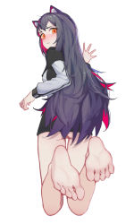 Rule 34 | 1girl, absurdres, animal ear fluff, animal ears, arknights, back, barefoot, black hair, blush, bottomless, cat ears, feet, female focus, foot focus, foreshortening, from behind, full body, highres, lan mao akko, long hair, looking back, multicolored hair, orange eyes, pink hair, pussy, pussy peek, simple background, soles, solo, texas (arknights), toes, white background, wolf ears