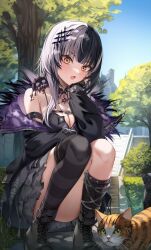 Rule 34 | 1girl, animal, arm strap, asymmetrical legwear, black choker, black hair, black jacket, black socks, black thighhighs, blue sky, blunt bangs, breasts, cat, chain, choker, cleavage, day, elbow rest, fang, full body, hair ornament, highres, hololive, hololive english, jacket, looking at animal, looking down, medium breasts, mismatched legwear, multicolored hair, open mouth, outdoors, shiori novella, shiori novella (1st costume), shuvi (shuvi1125), sky, socks, solo, squatting, stairs, studded, thighhighs, thighs, tree, two-tone hair, uneven legwear, virtual youtuber, white hair, yellow eyes, yorick (shiori novella)