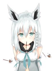 Rule 34 | 1girl, animal ears, blue eyes, braid, breasts, closed mouth, collarbone, commentary request, detached sleeves, food, food in mouth, fox ears, highres, hololive, looking at viewer, medium breasts, pocky, pocky day, pocky kiss, pov, shared food, shirakami fubuki, shirakami fubuki (1st costume), short hair, side braid, simple background, solo, virtual youtuber, white background