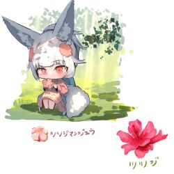 1girl animal_ear_fluff animal_ears barefoot commentary_request flower fox_ears fox_girl fox_tail grass grey_hair hair_ornament highres holding holding_flower jacket long_sleeves open_clothes open_jacket original pink_flower pink_jacket ponytail puffy_long_sleeves puffy_sleeves red_eyes shirt sitting solo tail translation_request white_background white_shirt yuuji_(yukimimi)